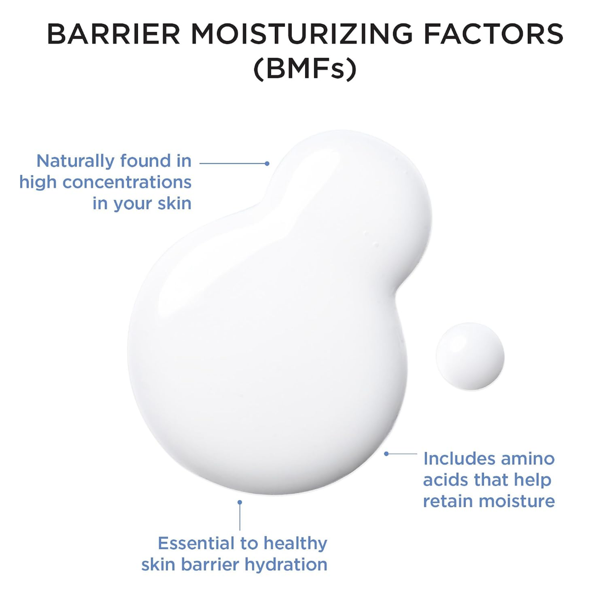 Diagram of barrier moisturizing factors with text on a white background