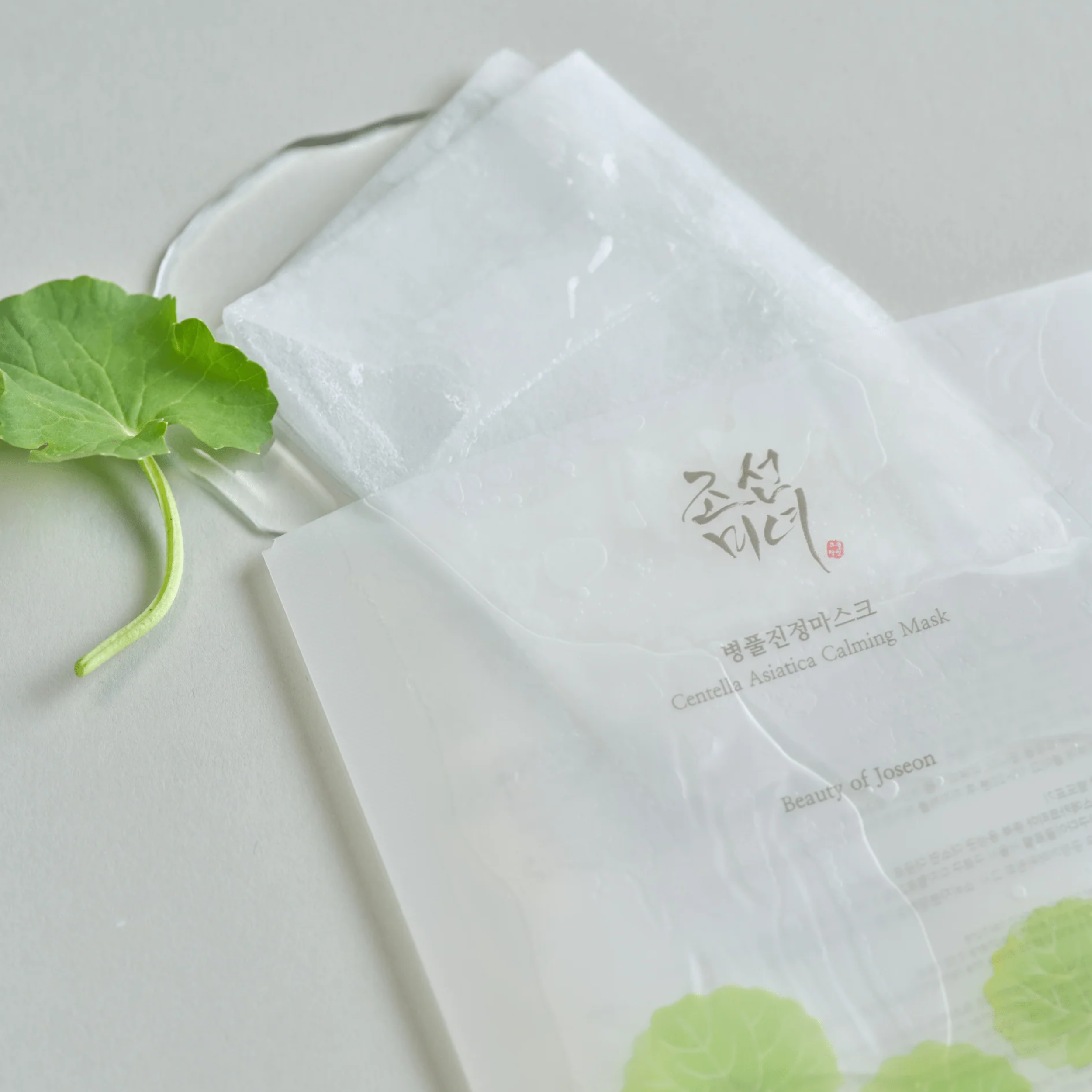Ceramic mask sheet with green leaf on a light gray background