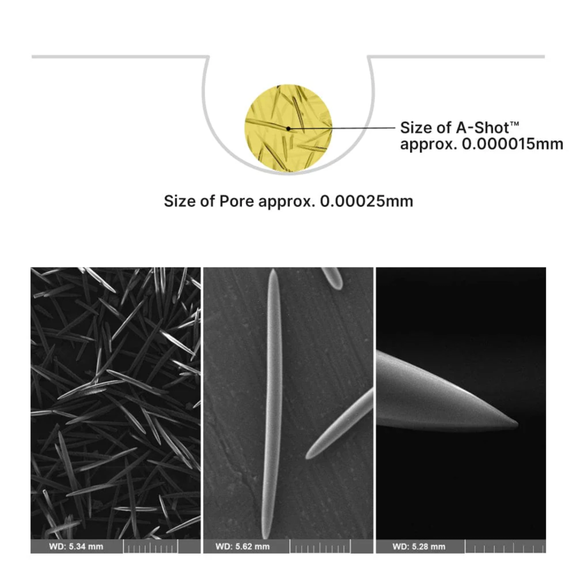 Comparison of A-Shot size to pore size with microscopic images below.