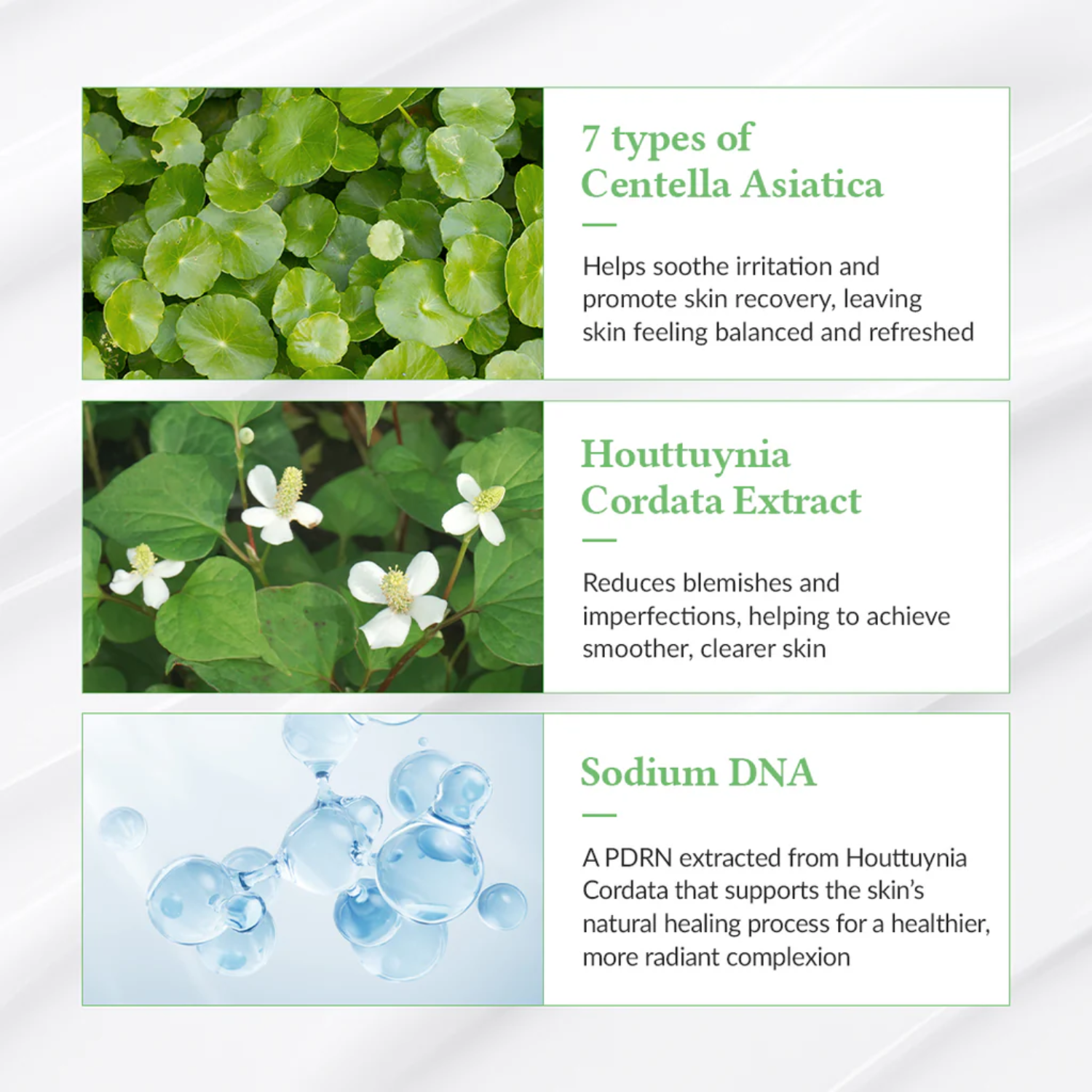 Informational graphic about Centella Asiatica, Houttuynia Cordata Extract, and Sodium DNA with corresponding images and text.