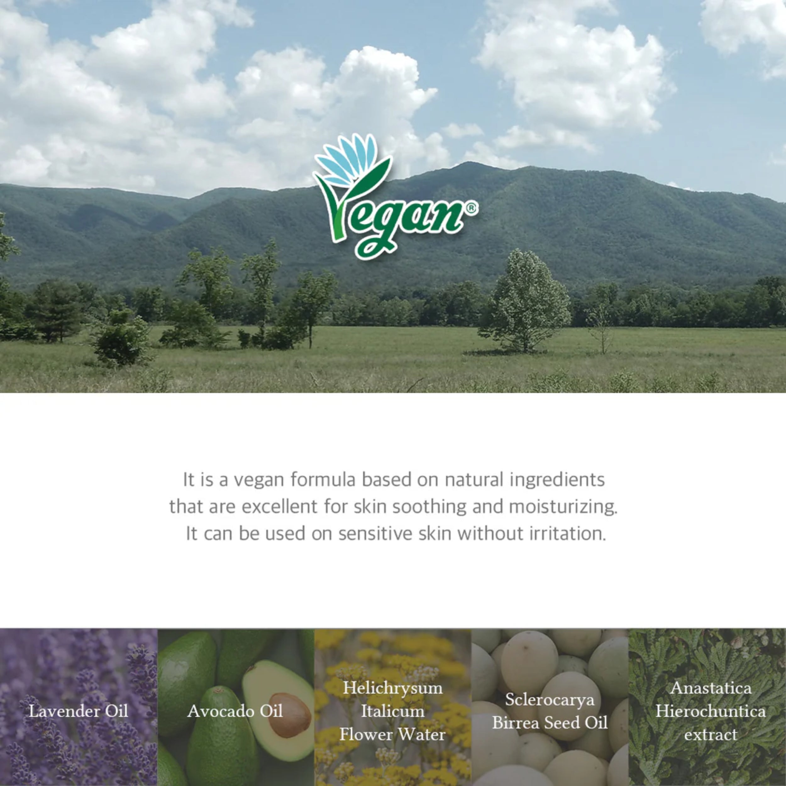 Vegan logo with a scenic background of mountains and trees, featuring natural ingredients and their benefits.