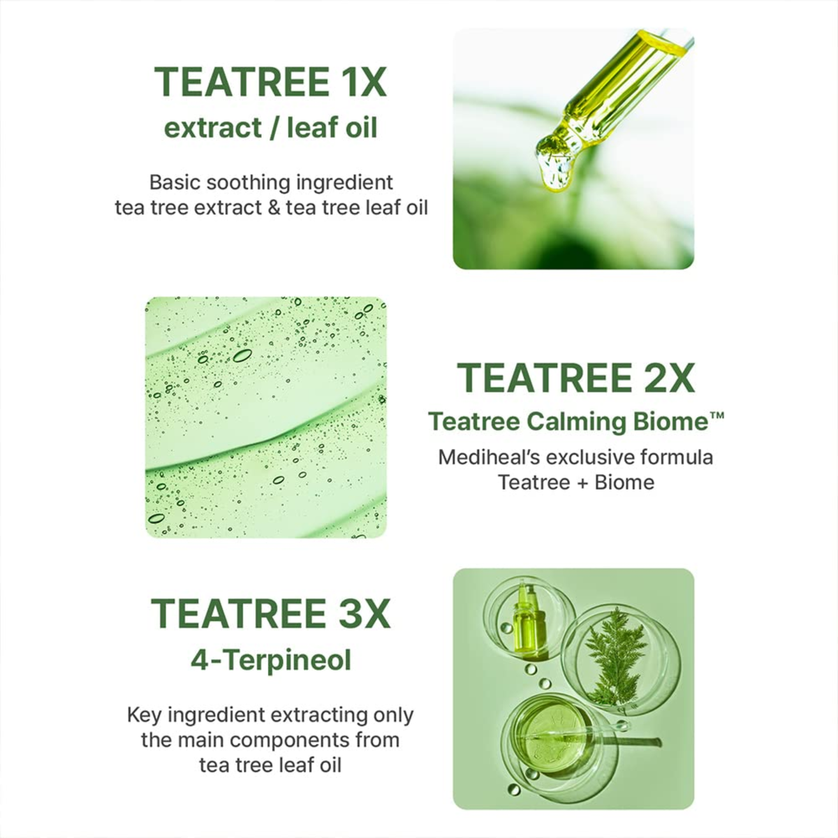 A white informational graphic with three green-tea-themed panels describing skincare ingredients: TEATREE 1X extract/leaf oil, TEATREE 2X Teatree Calming Biome, and TEATREE 3X 4-Terpineol, each paired with a small product or ingredient illustration.