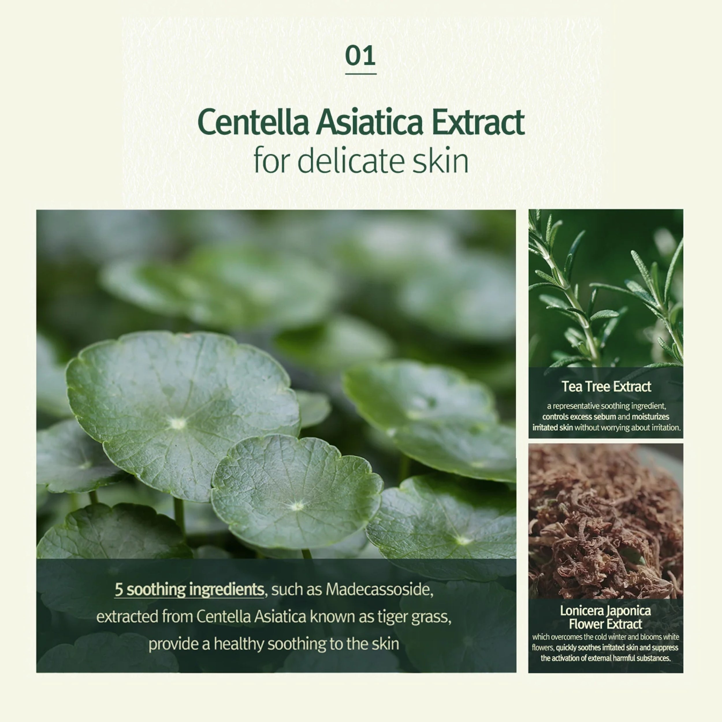Centella Asiatica Extract for delicate skin with plant images and text.