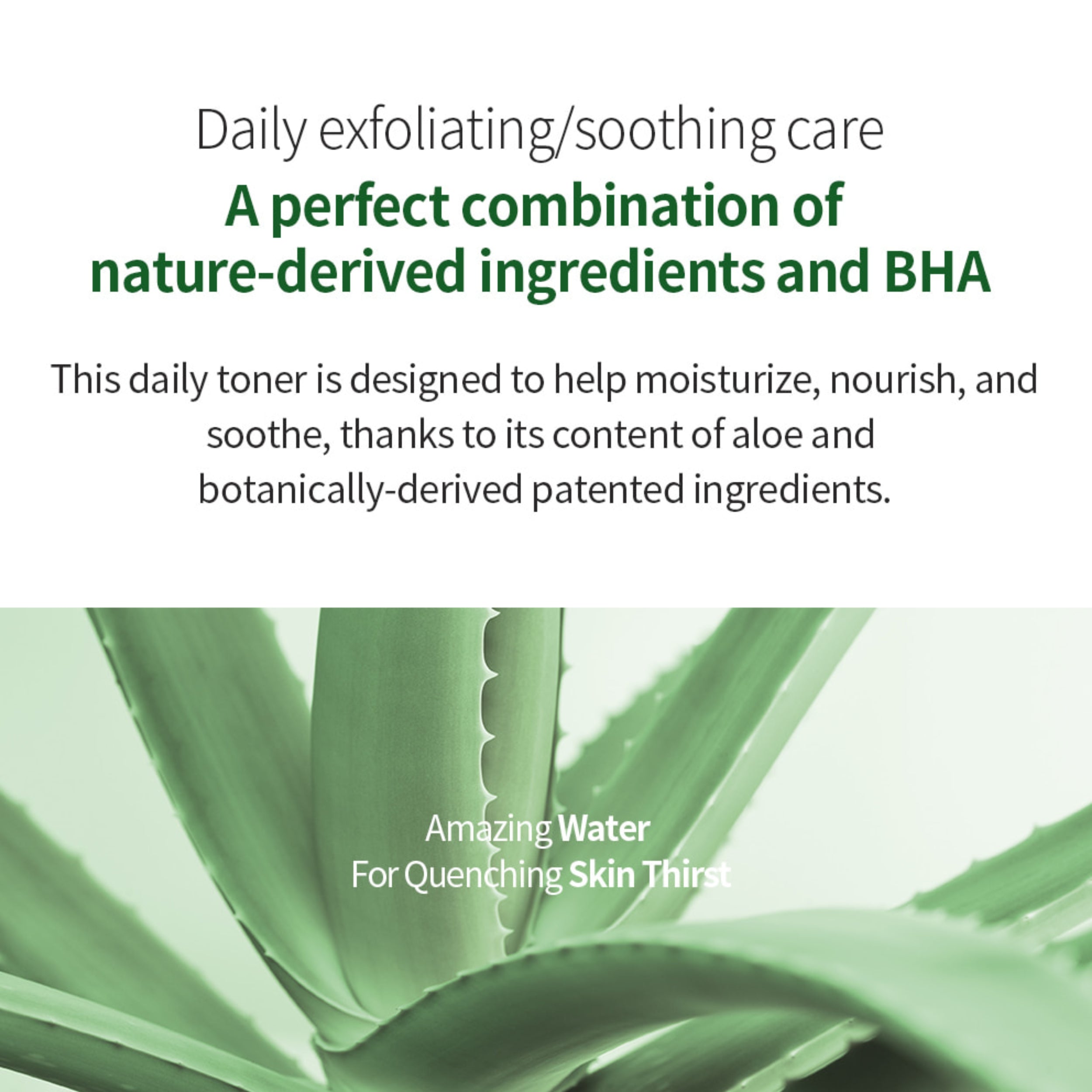 Advertisement for a daily toner with aloe vera leaves and text about its benefits.