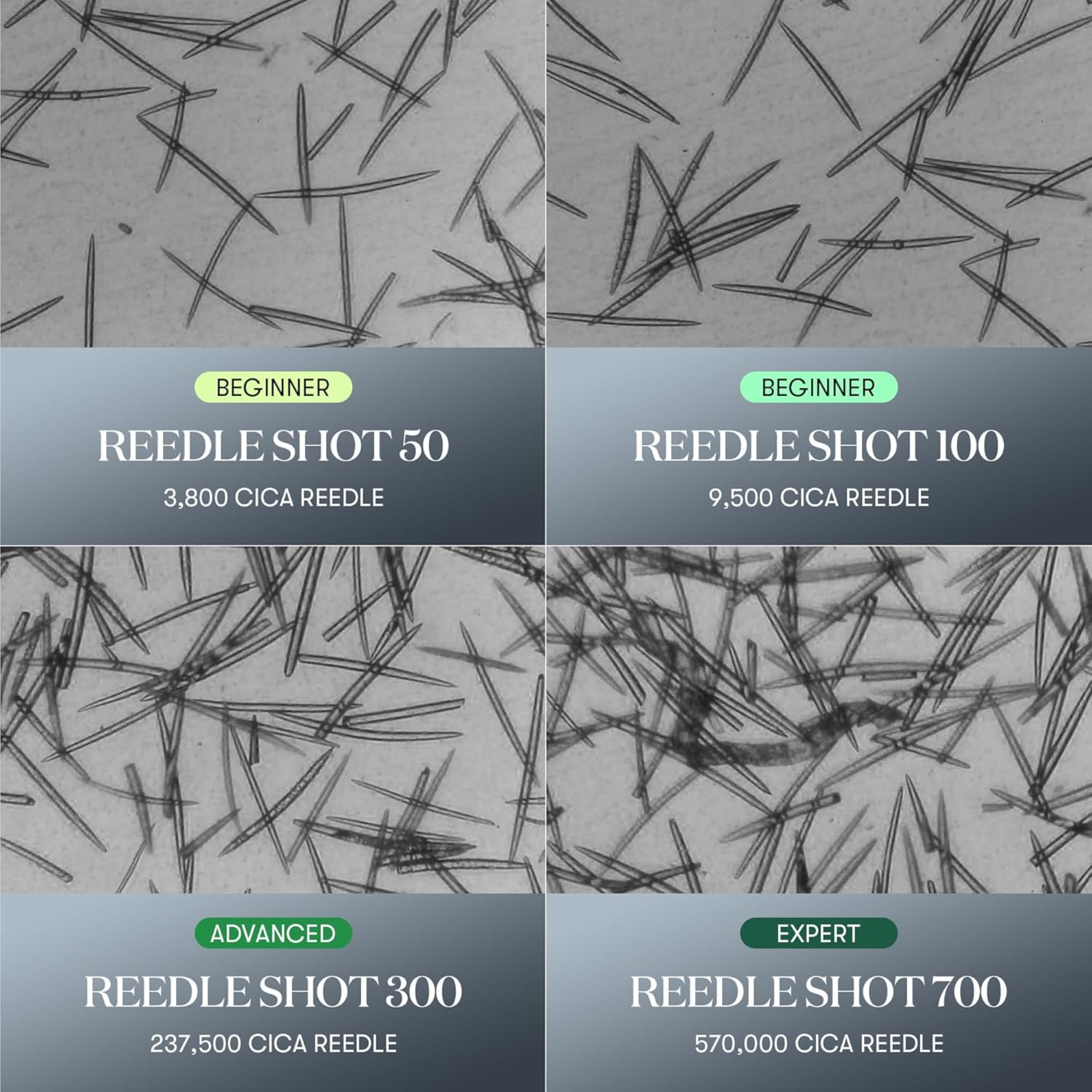 Comparison of REEDLE SHOT products with different quantities on a gray background