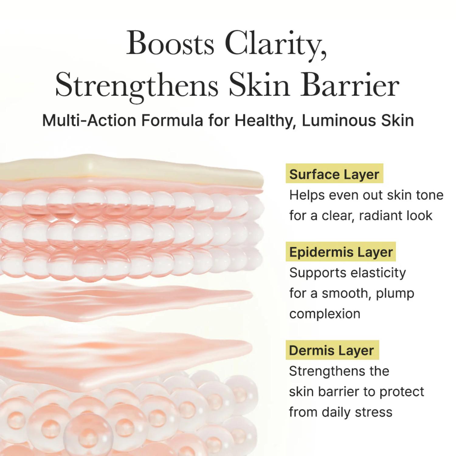 layers of the skin and the benefits of Arencia Vitamin C booster shot